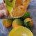 纽荷尔脐橙：清甜爽口，皮薄肉厚，果面光滑，货源充足。