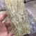 草燕