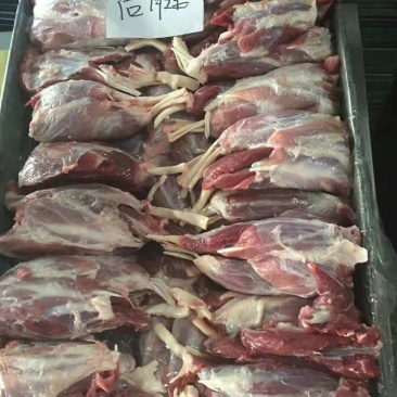 后腱