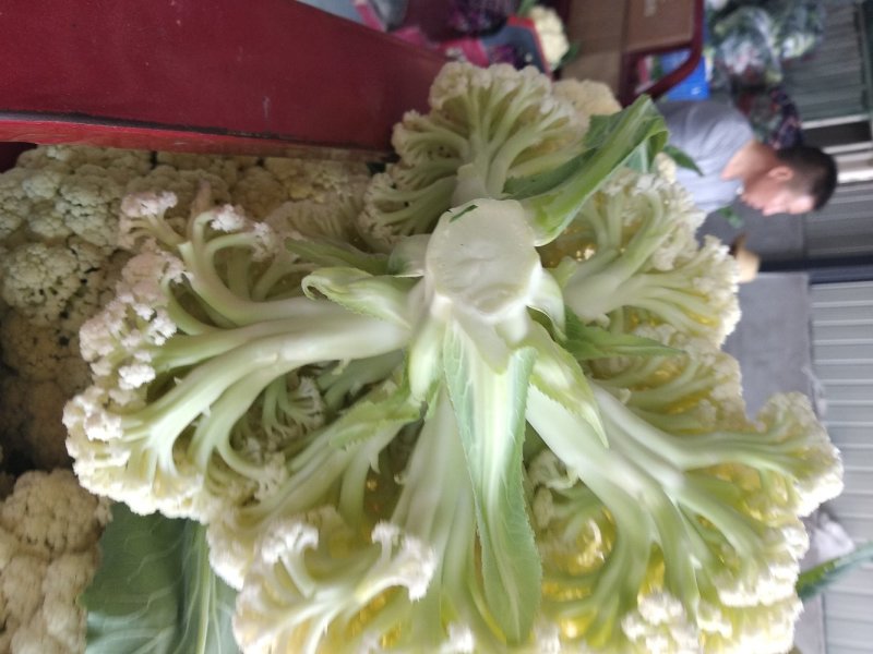 花莱有货产地直销，货源充足，散装，袋装，箱装，专业代发