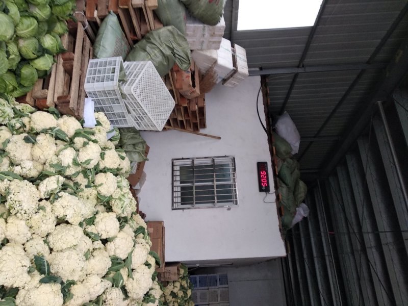 花莱有货产地直销，货源充足，散装，袋装，箱装，专业代发