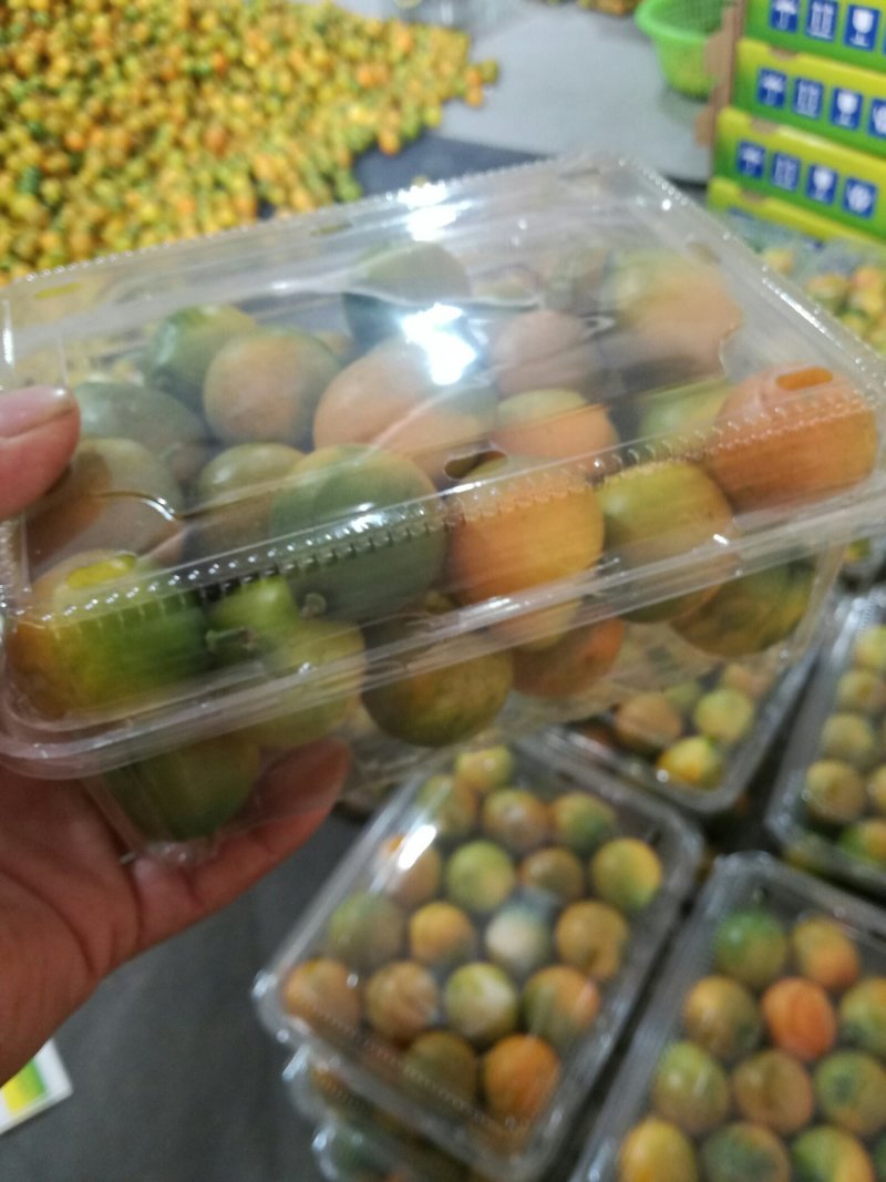 脆皮金桔