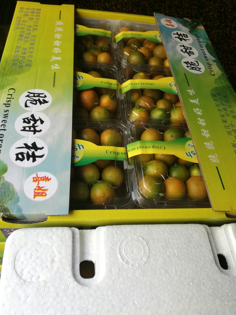 脆皮金桔