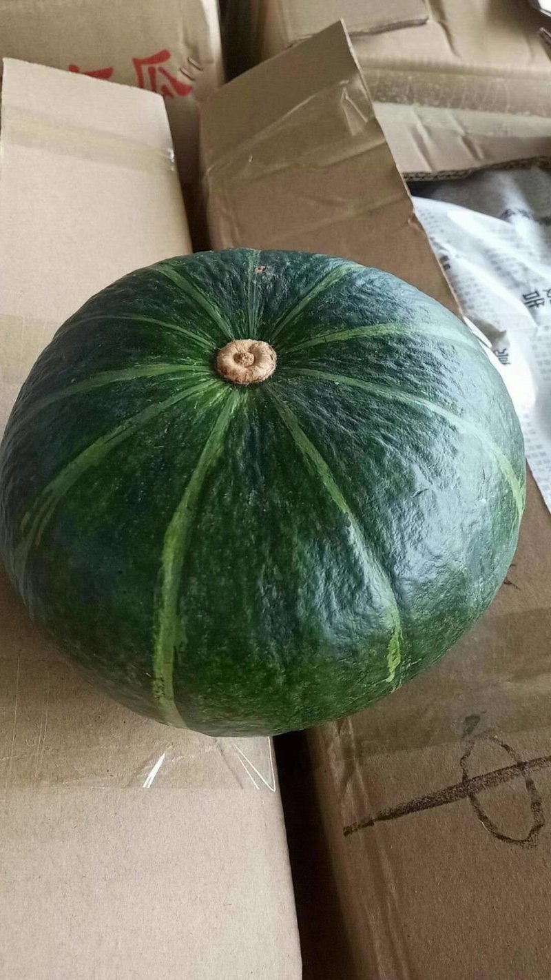 红南瓜大量上市中