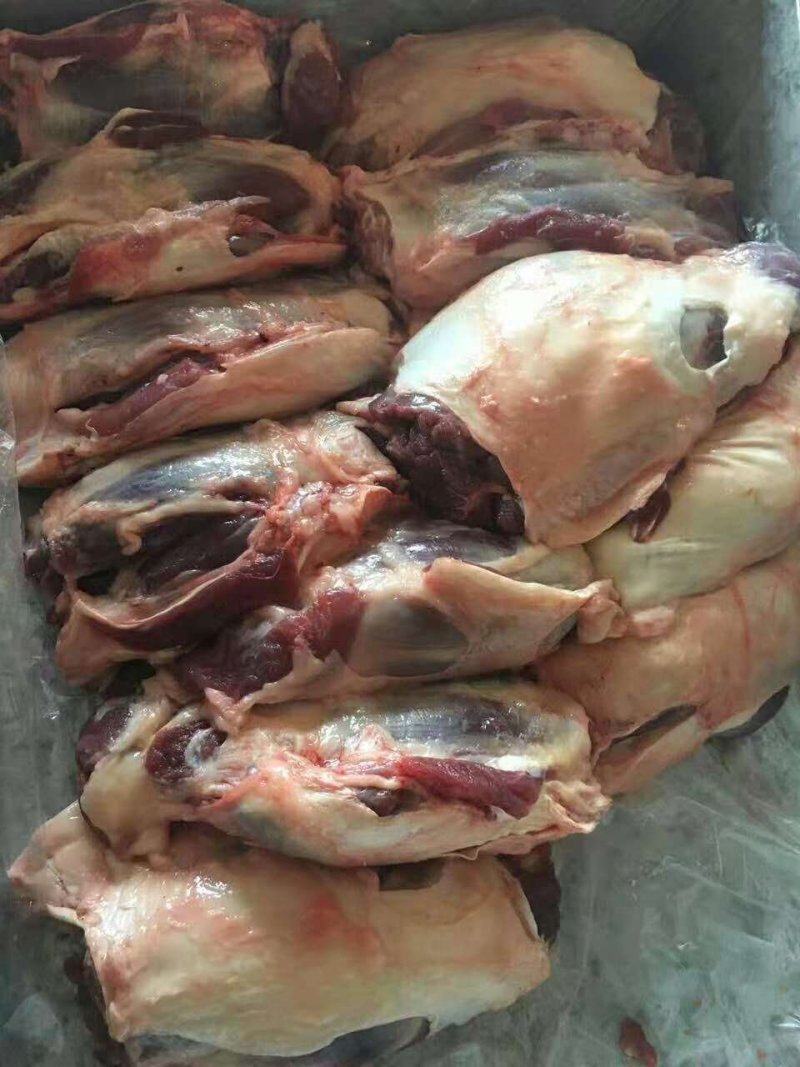 前腱