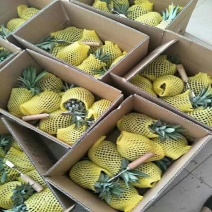 泰国香水小菠萝