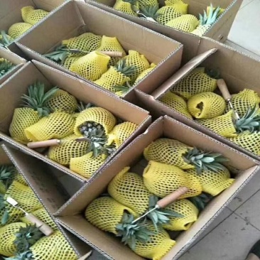 泰国香水小菠萝