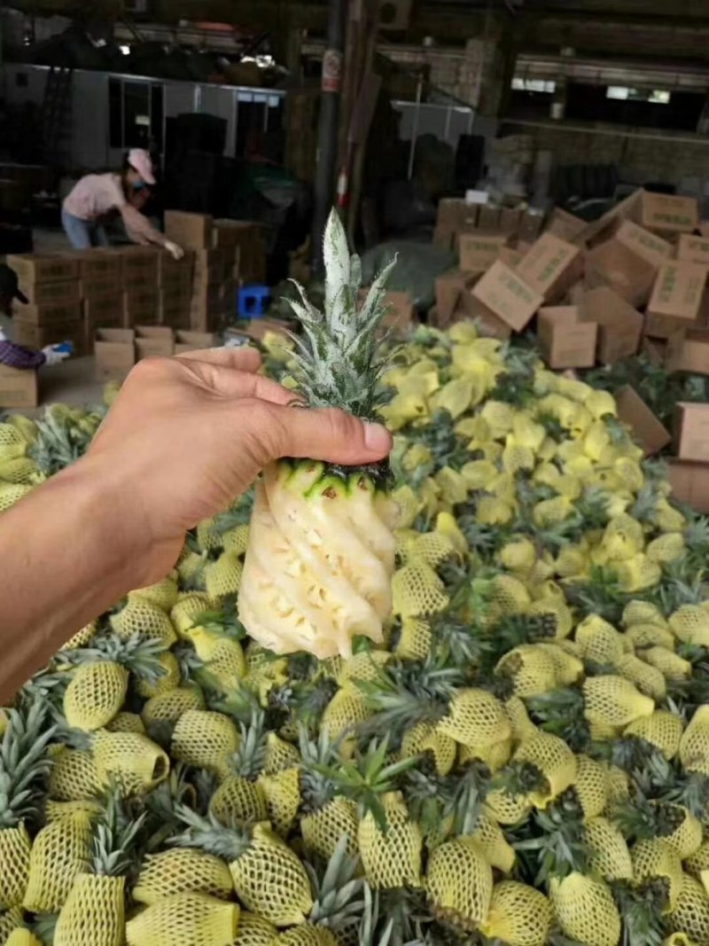 泰国香水小菠萝