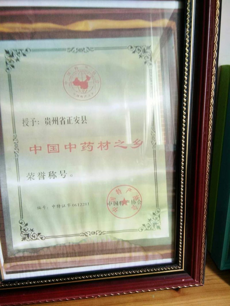 紫花三叉大白及
