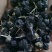 精品一斤装黑枸杞袋装包邮