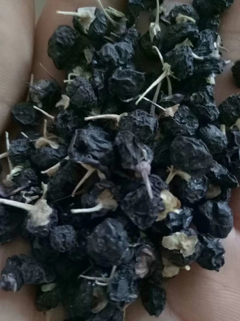 精品一斤装黑枸杞袋装包邮