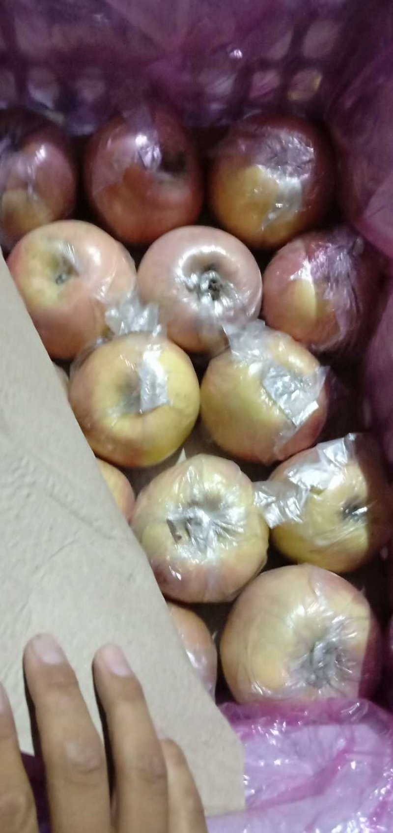 库存萍果