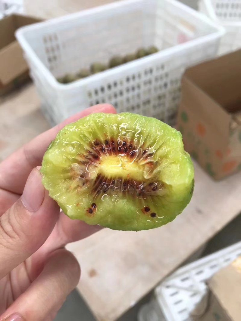 红心猕猴桃中果