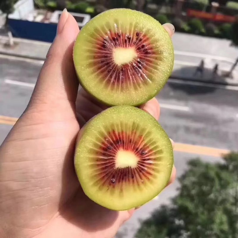 红心猕猴桃中果