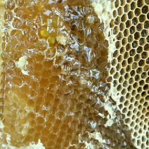 蜂蜜