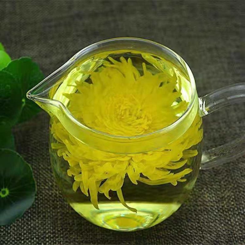 金丝黄菊