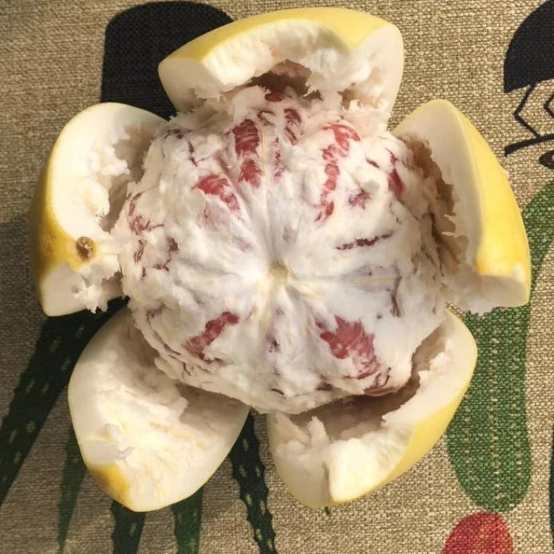 蜜柚