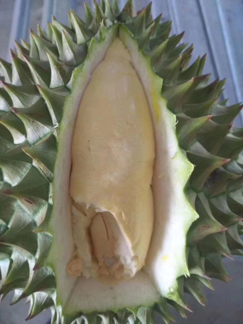 干荛榴莲