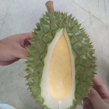 干荛榴莲