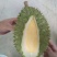 干荛榴莲