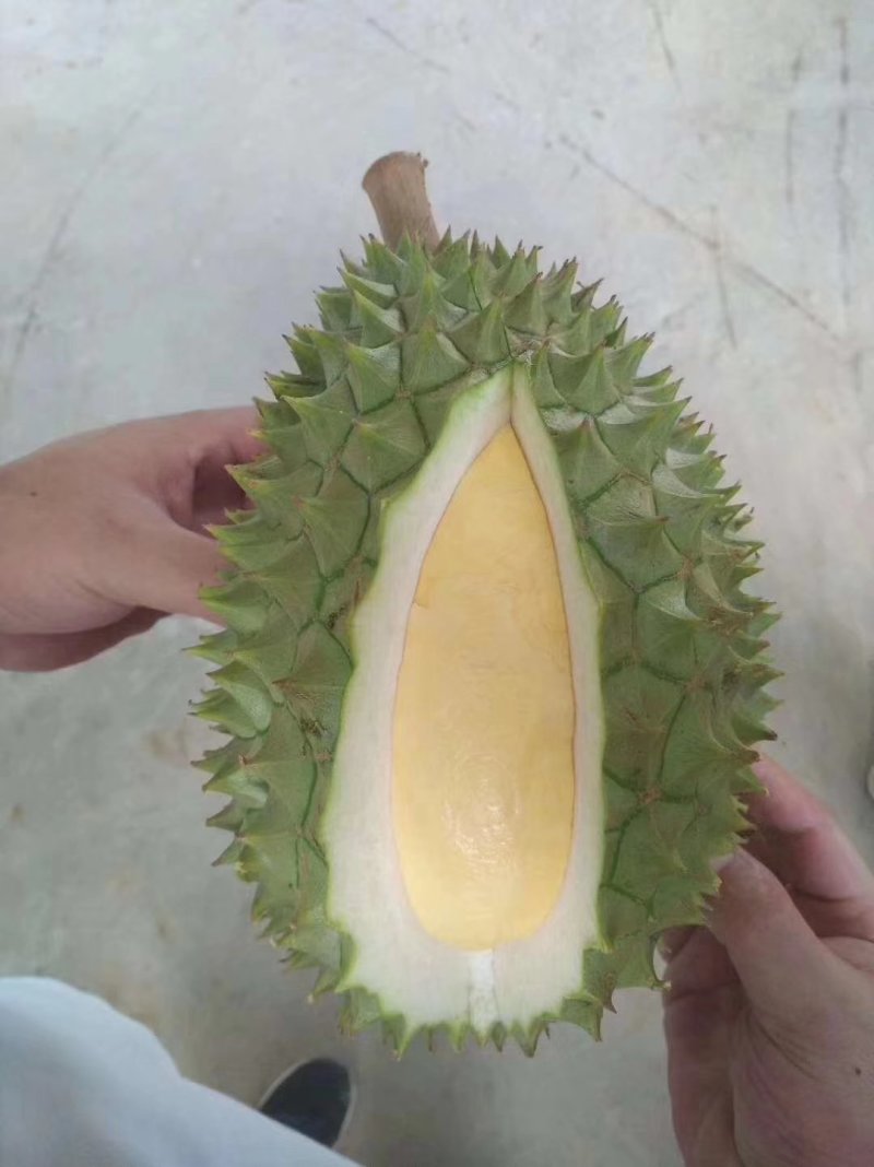 干荛榴莲