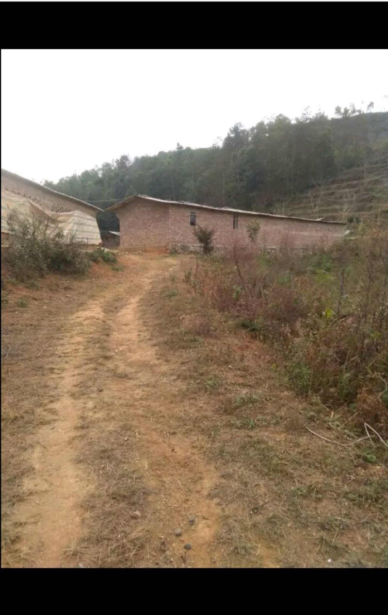 场地出租
