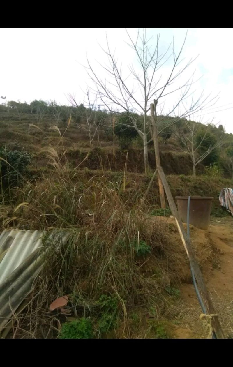 场地出租