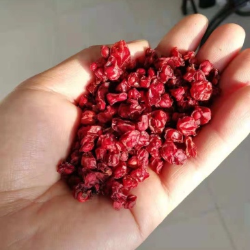 北五味子烘干干货辽五味子无硫干货药食同源