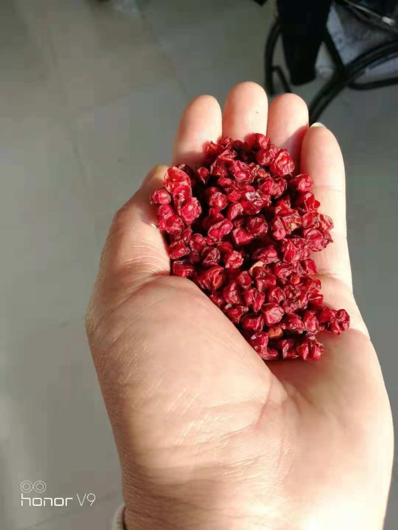 北五味子烘干干货辽五味子无硫干货药食同源