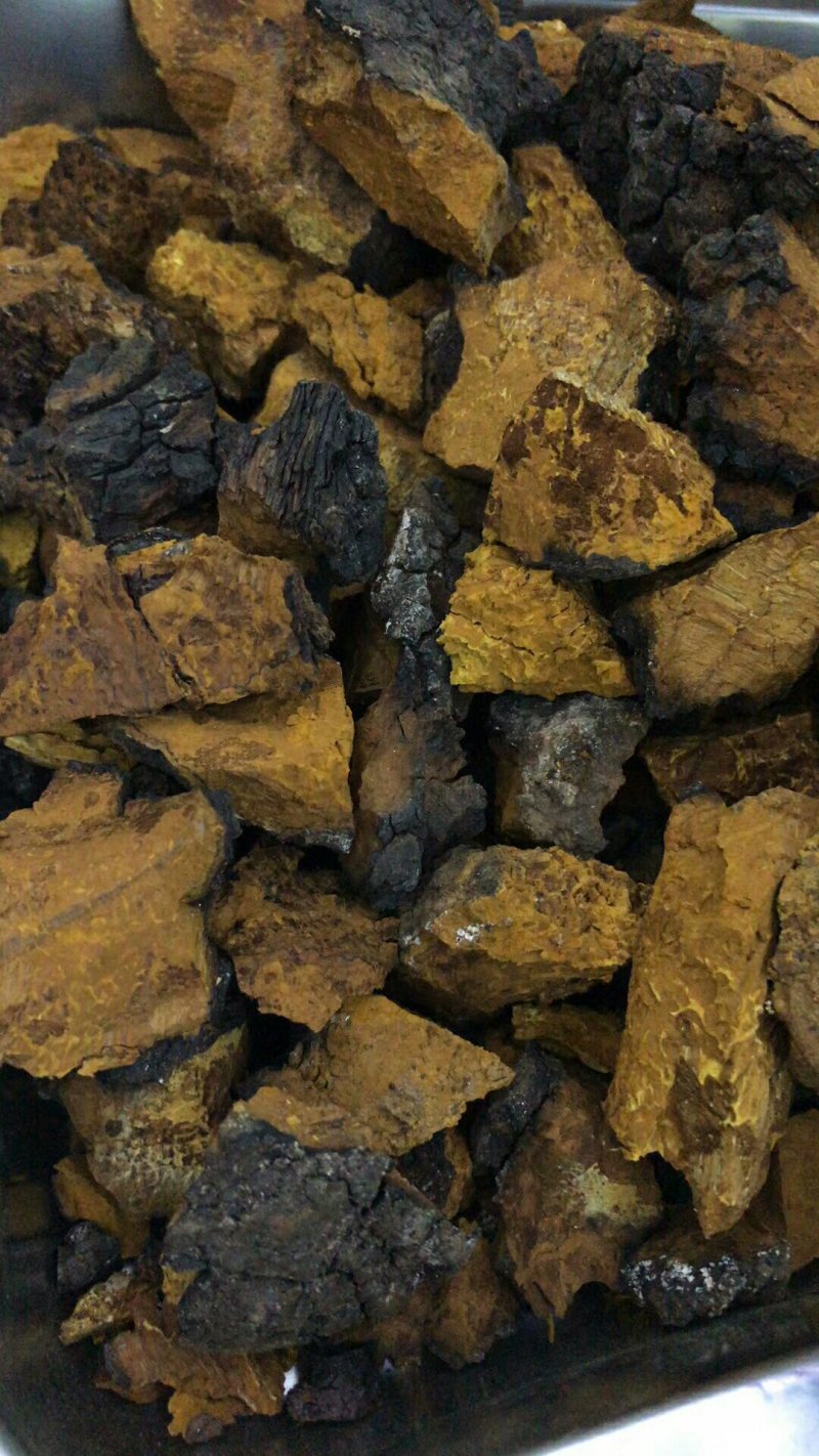 白桦茸黄褐孔菌煮水规格齐全2斤包邮