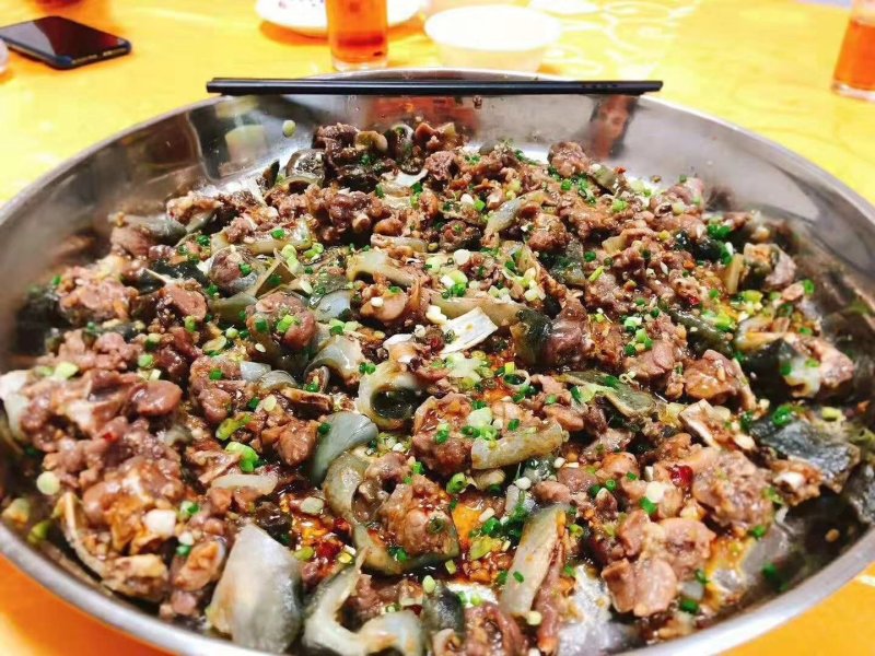 江西老甲鱼，特征是吃鱼仔长大的