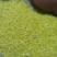 粮油作物