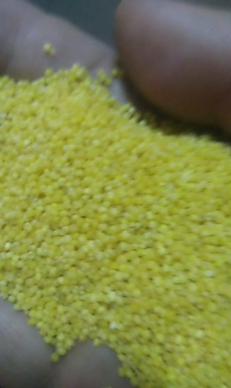 粮油作物