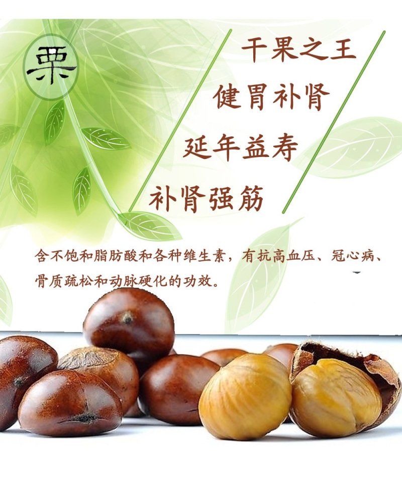 板栗新鲜生栗子丹东特产5斤精品一等果