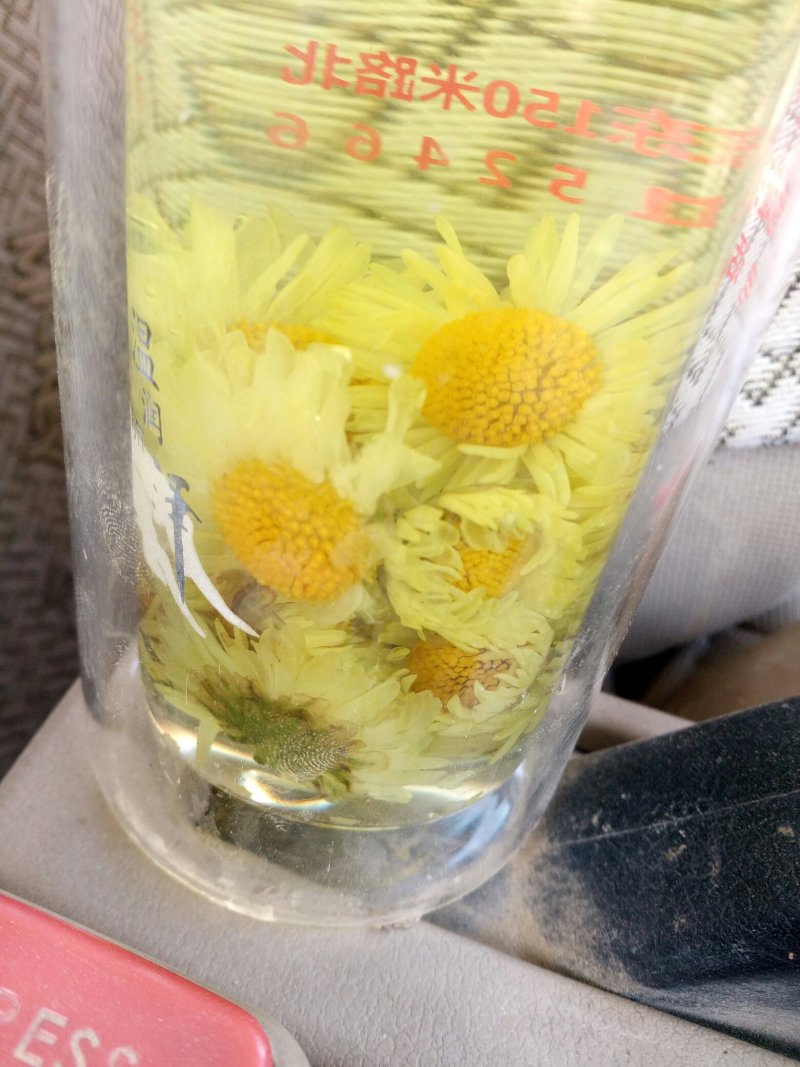 自家种植杭白菊花刚刚上市，绝对无硫。