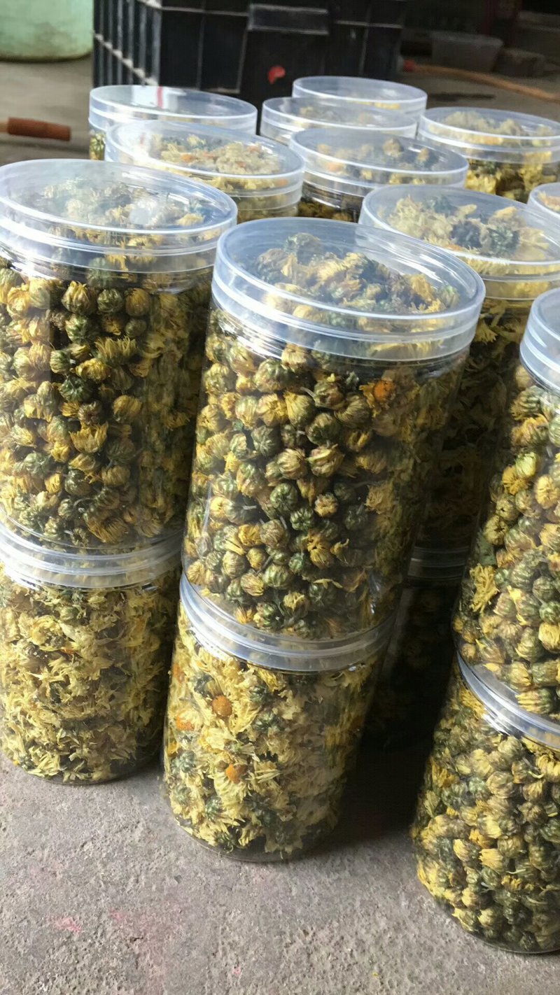 自家种植杭白菊花刚刚上市，绝对无硫。