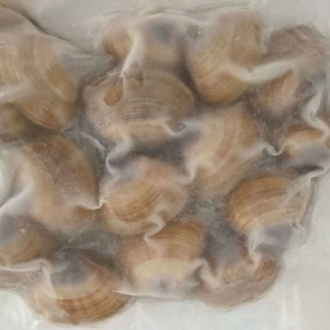 丹东特产大黄蚬子蛤蜊肉花蛤速冻真空黄蚬子即食贝类海鲜零食