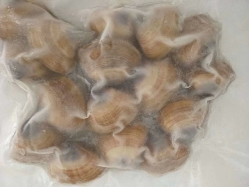 丹东特产大黄蚬子蛤蜊肉花蛤速冻真空黄蚬子即食贝类海鲜零食