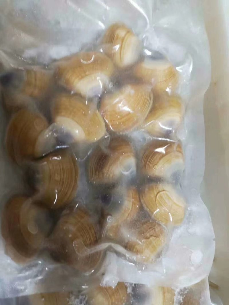 丹东特产大黄蚬子蛤蜊肉花蛤速冻真空黄蚬子即食贝类海鲜零食
