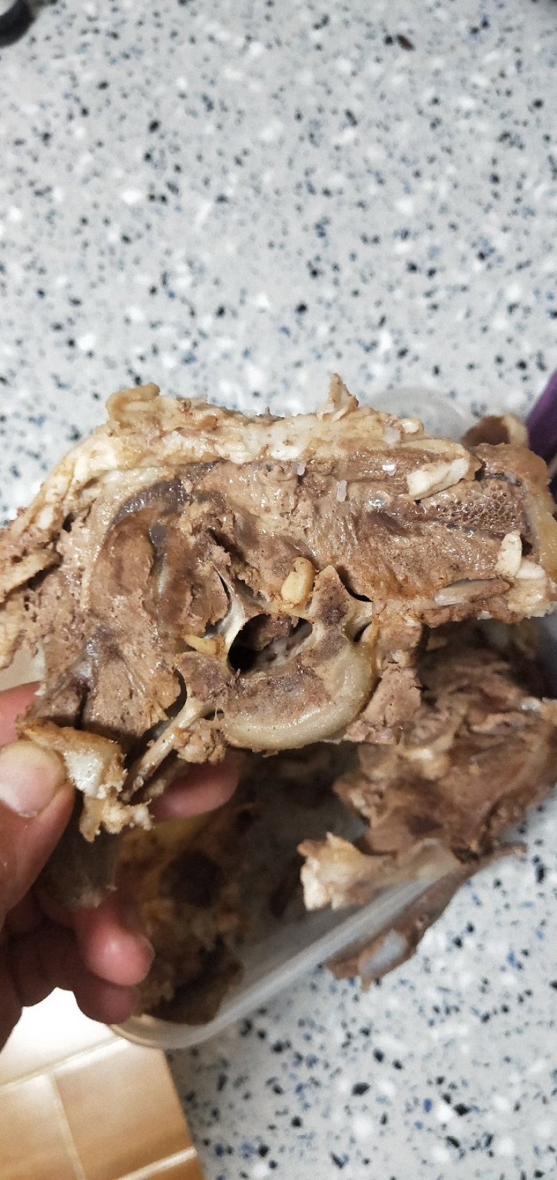 羔羊蝴蝶骨