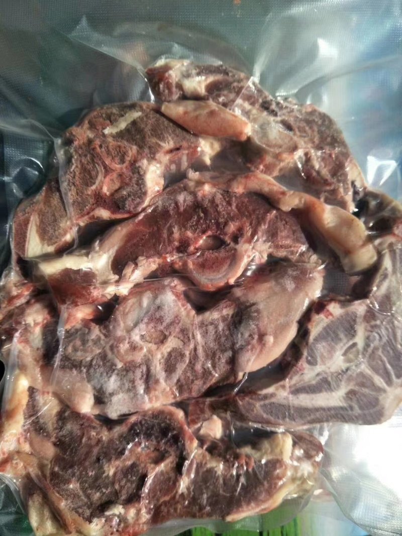 羔羊蝴蝶骨