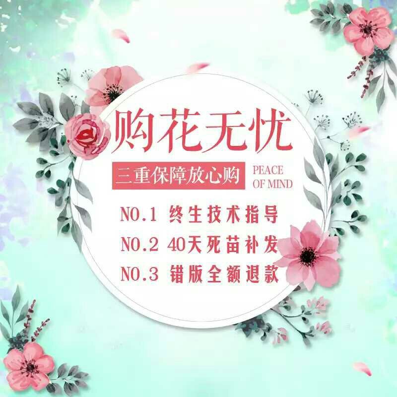 欧月