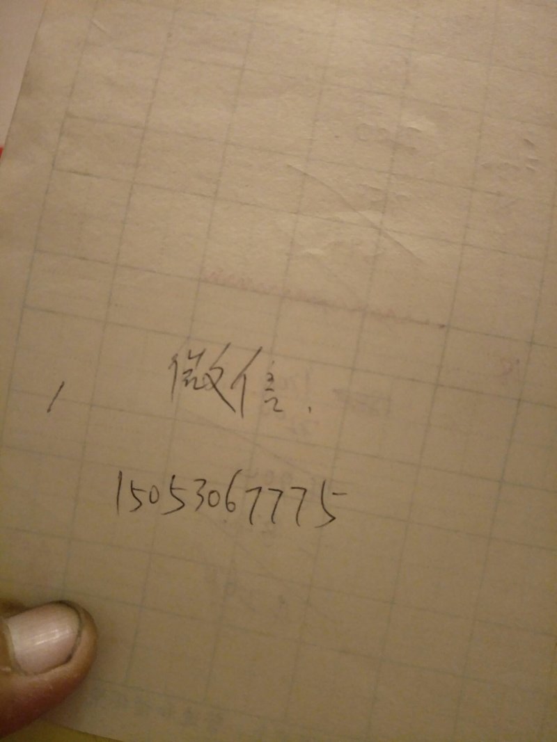 香椿