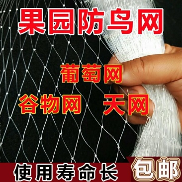 防鸟网