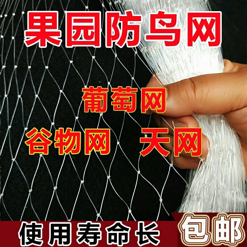 防鸟网
