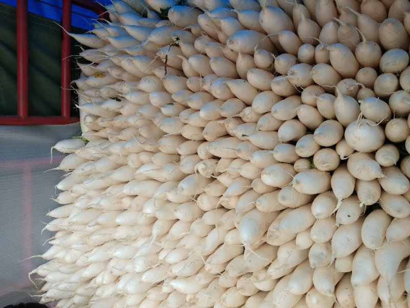 白萝卜，2斤以上，质量很好，有需要的联系我