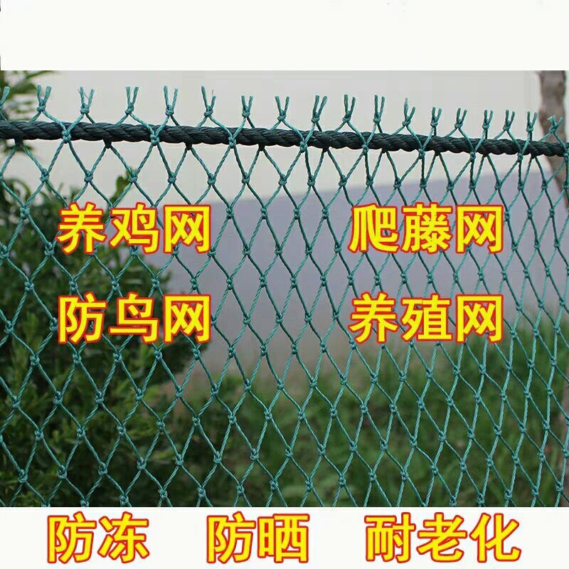 养殖网