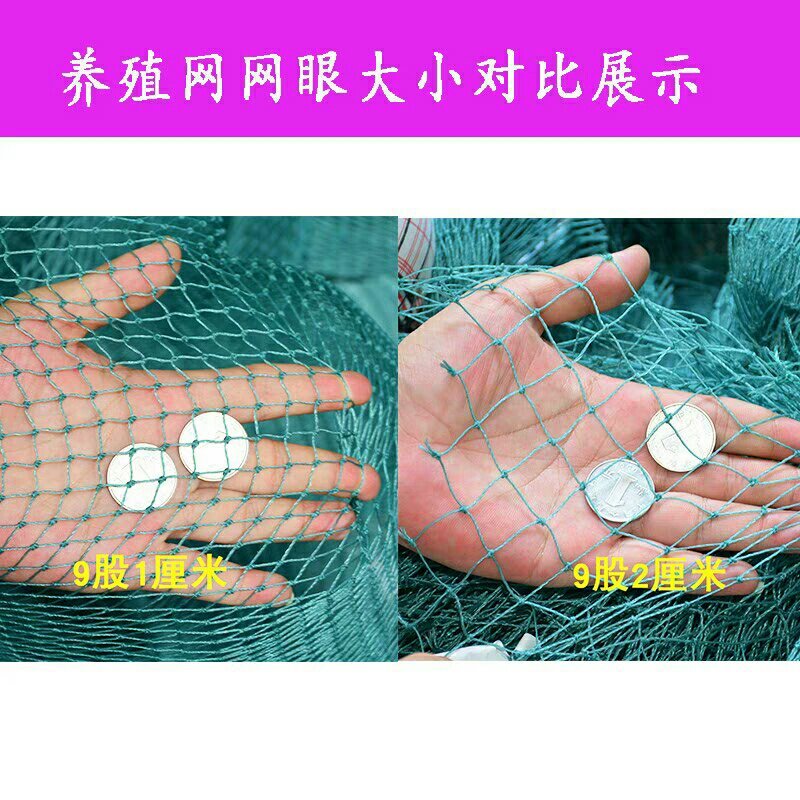 养殖网