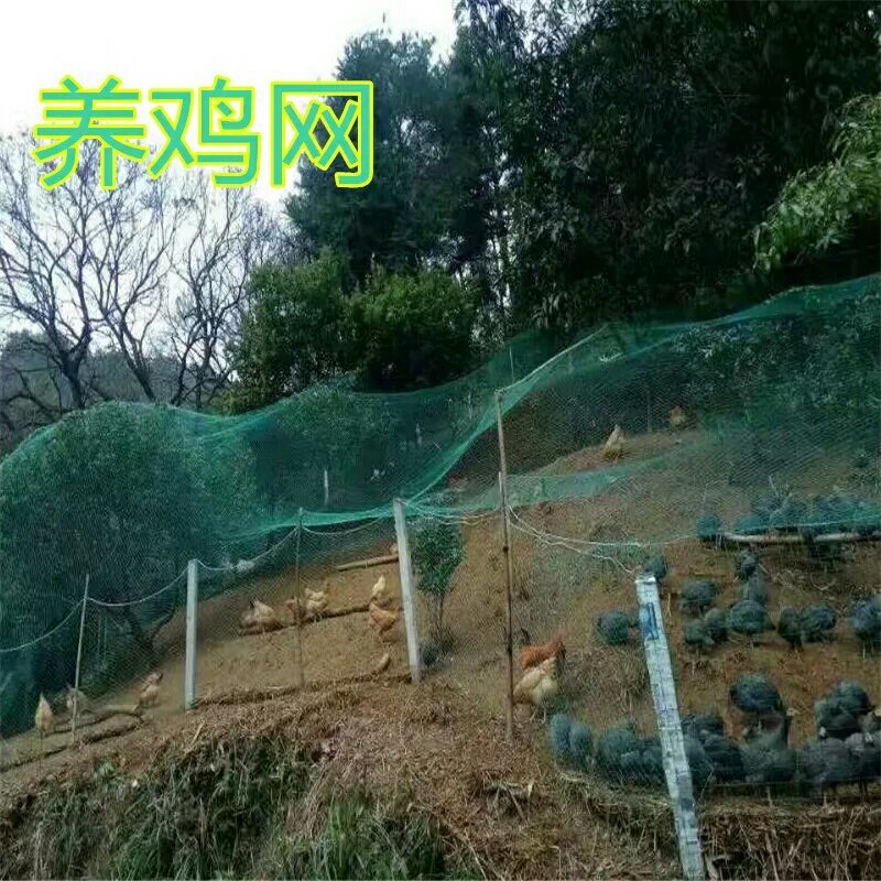 养殖网