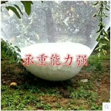防雹网